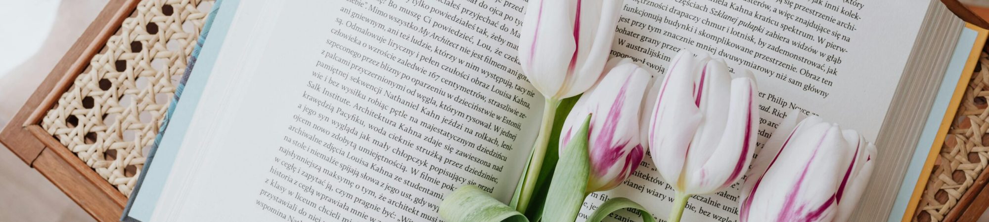 Elegant tulips resting on an open book, embodying serene indoor decor.