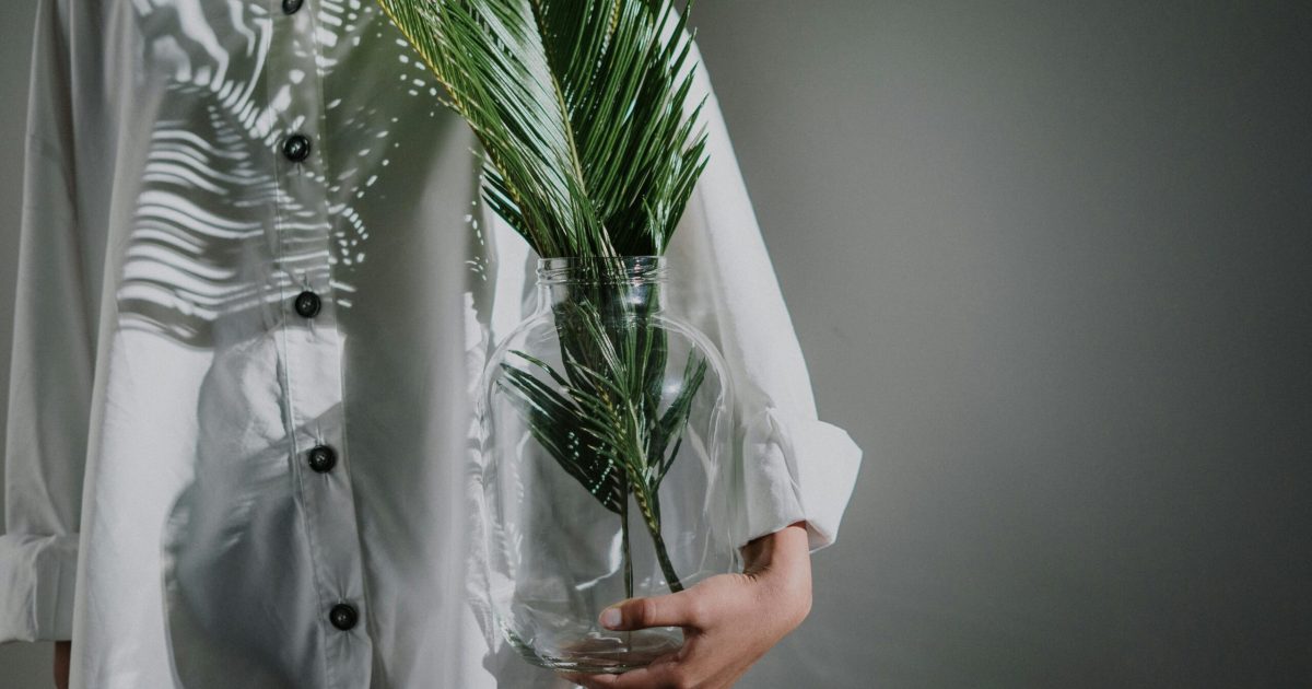 pexels-photo-4507281-4507281 A person holds a glass vase with lush fern leaves, casting artistic shadows on a white shirt indoors.
